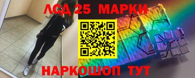 гашик Нальчик