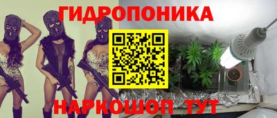 гашик Нальчик