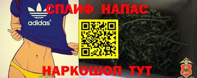 гашик Нальчик