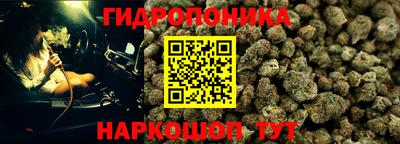 гашик Нальчик
