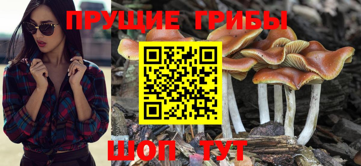 Галлюциногенные грибы MAGIC MUSHROOMS Ульяновск